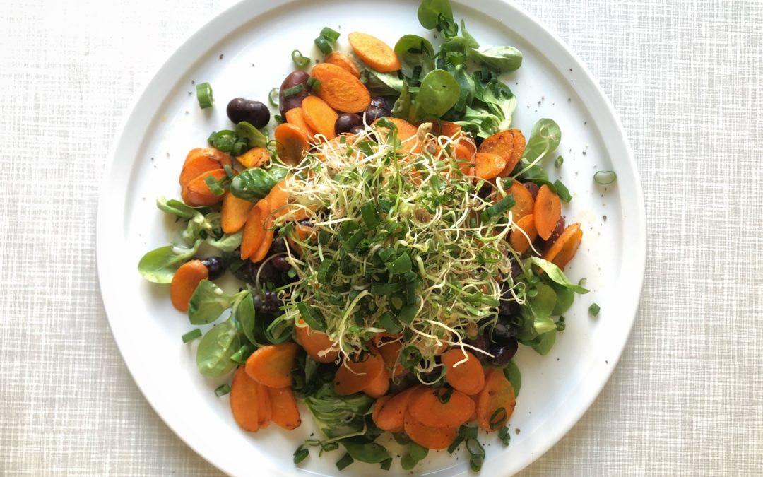 Scharfe Karotte mit Käferbohnen-Sprossen-Salat